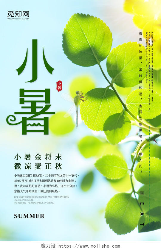 绿色小暑夏天树叶蓝天阳光二十四节气宣传海报二十四节气小暑海报